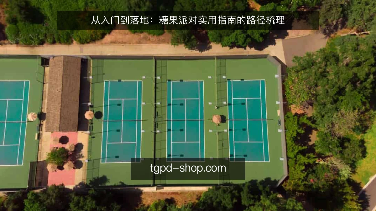 从入门到落地:糖果派对实用指南的路径梳理