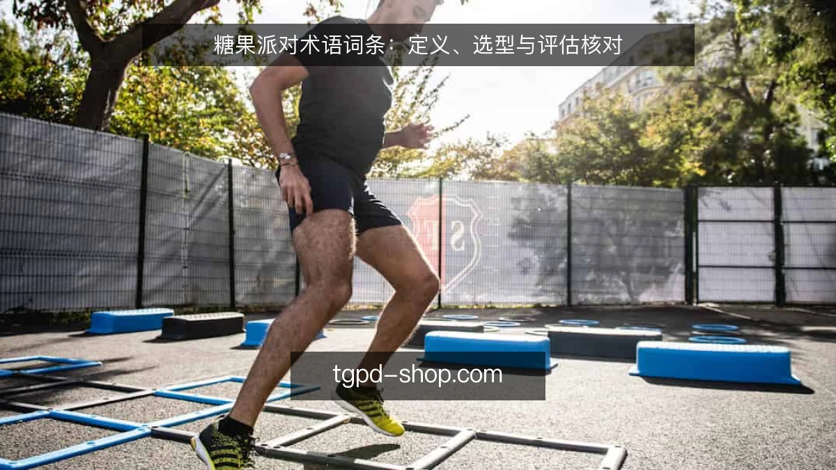 糖果派对术语词条：定义、选型与评估核对